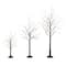 3ft. 5ft. 6ft. Artificial Brown Birch Trees with Warm White LED Lights - Set of 3